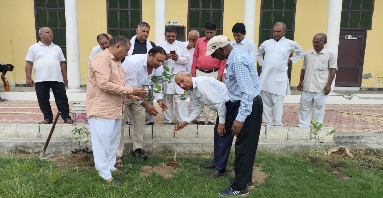 Ram Kumar Kashyap Planting trees