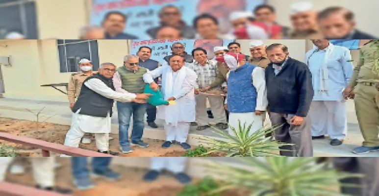 Surender Panwar planting trees