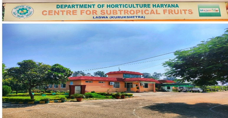 Centre For Sub-Tropical Fruits, Ladwa