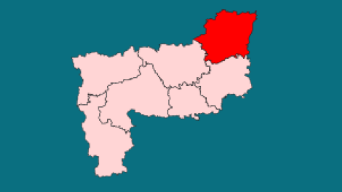 Amour Assembly constituency